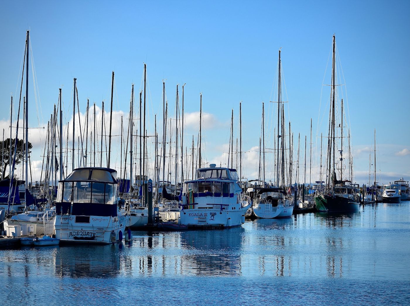 sausalito yacht harbor slip fees