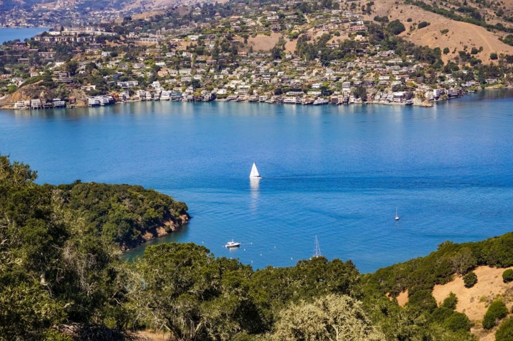 ships-sail-in-belvedere-cove-on-a-clear-autumn-day-2jhxcg7-1-1024x-q80-jpg