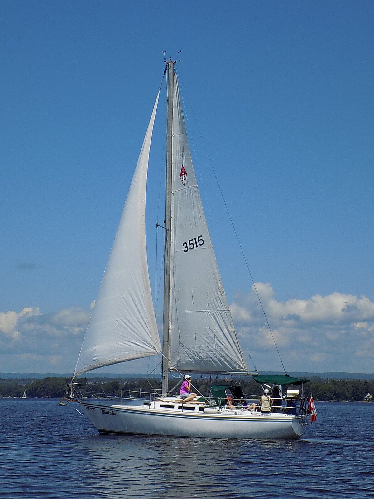 sailing yacht 30 ft
