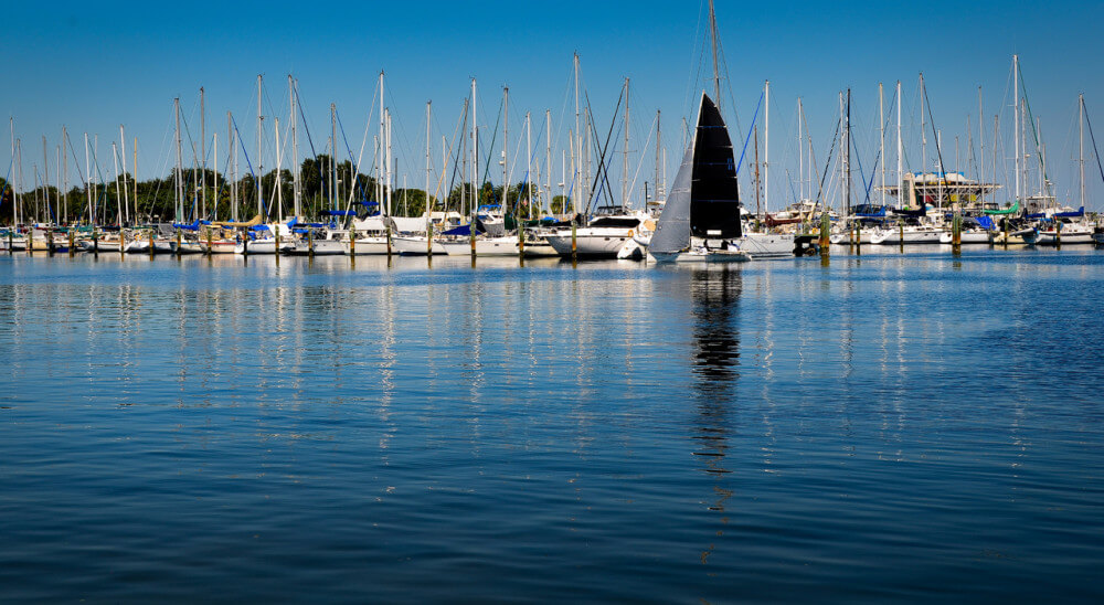 Sea marina in Florida with row of white boats and one black-sailed boat