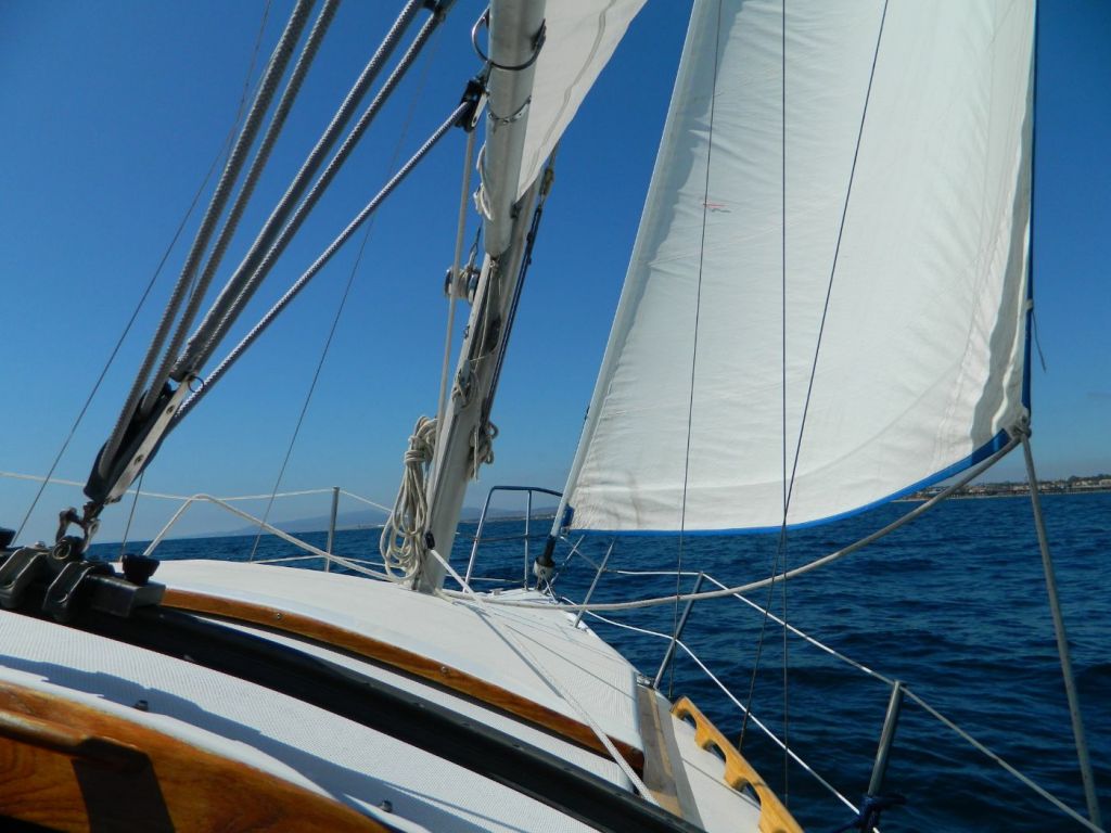 the-ultimate-guide-to-sail-types-and-rigs-with-pictures-improve-sailing