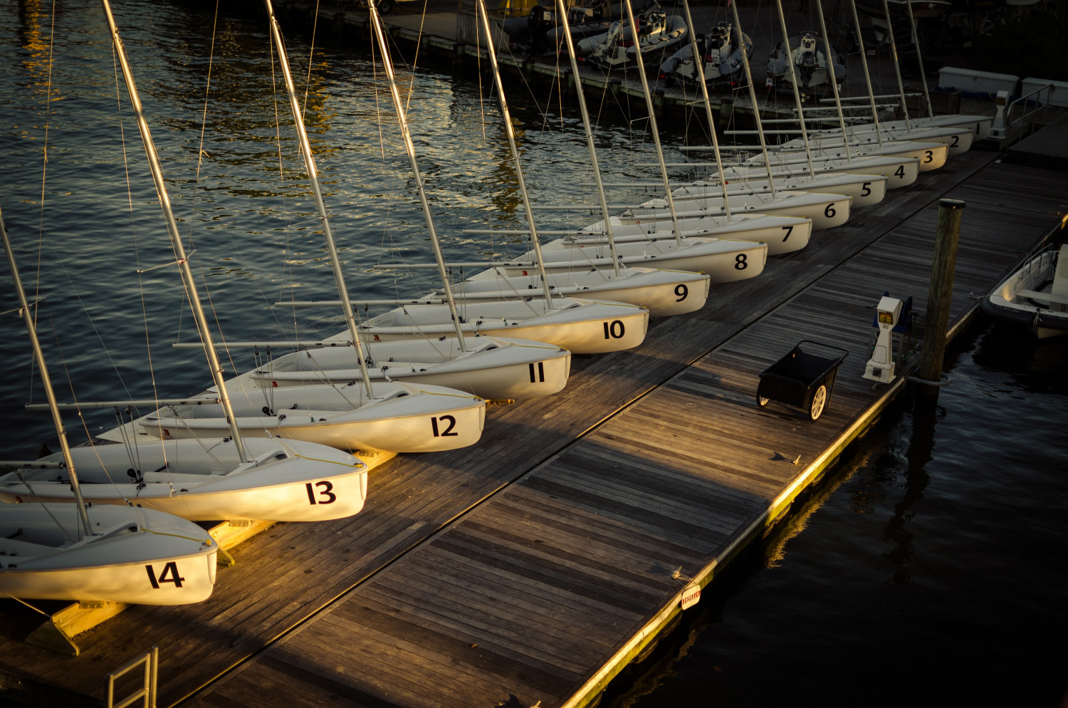 Row of sailing dinghies in golden hour at the dock