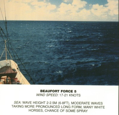 Sea with moderate waves and many white horses