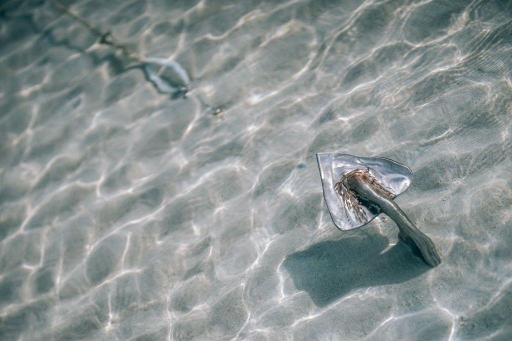 sailboat anchoring