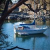 Sailboat with tender in rocky bay