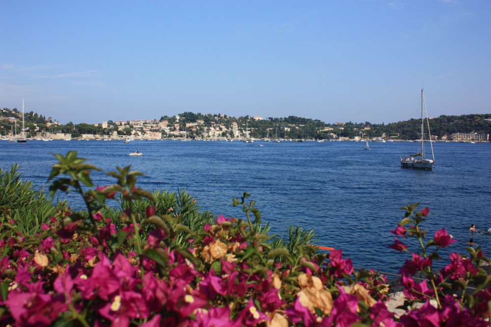 Flowers at the Riviera with a sailboat in the background